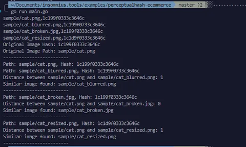 Script output for the three images